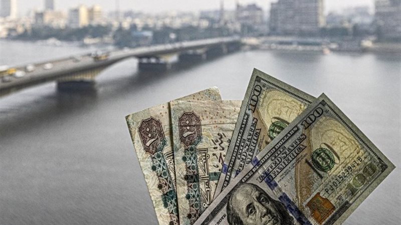 سعر الدولار مقابل الجنيه المصري اليوم