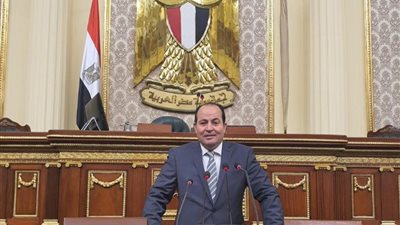 النائب عبد الباسط الشرقاوي: حكومة مدبولي شبابية ونأمل أن تنال رضا الشارع