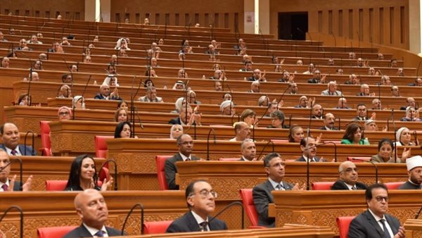 الحكومة أمام مجلس