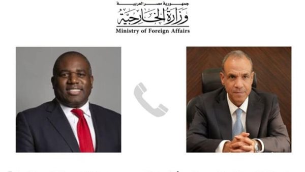 السفير بدر عبد العاطى