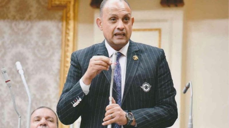 النائب هشام الجاهل عضو مجلس النواب