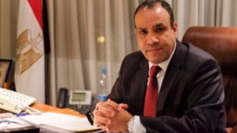 الدكتور بدر عبد العاطي وزير الخارجية والهجرة وشئون المصريين